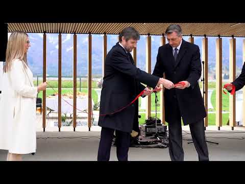 Marles hiše Maribor