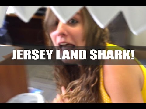 Land Shark hits New Jersey! On Shark Week, no one is safe