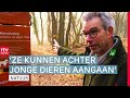 Waar mogen honden loslopen in de natuur? | ROEG! | RTV Drenthe