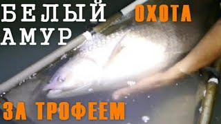Амур в сентябре на что ловить голавля