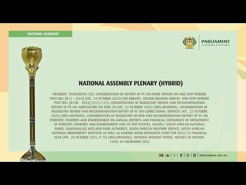 NATIONAL ASSEMBLY PLENARY (Hybrid), 04 November 2025