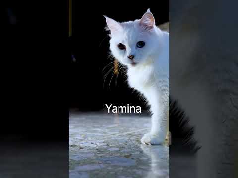 Yamina bisous 😘😘😘