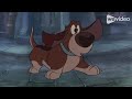The Jungle Book Home Video Trailer Katrina Berces Crossover