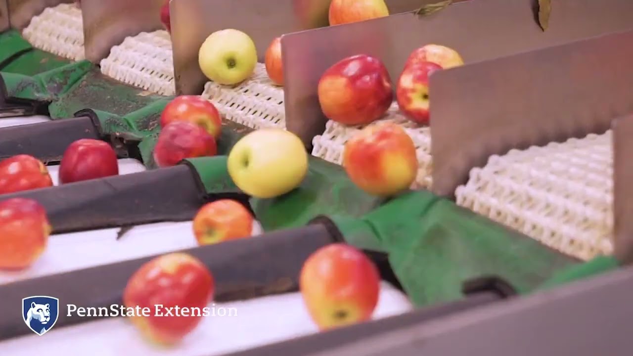 Penn State Extension Tree Fruit