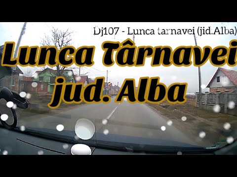 Lunca tarnavei (sona) judet Alba DJ107