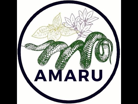 Equipo Amaru / 500 Latam / Participación 500LATAM