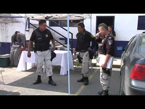 ¡Al rescate de perros y aves del Distrito Federal!