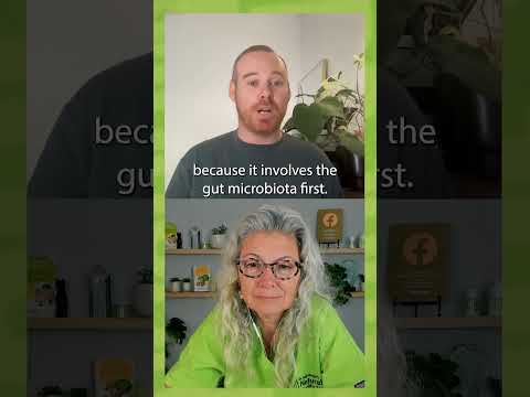 Why the Gut-Brain Axis is Important