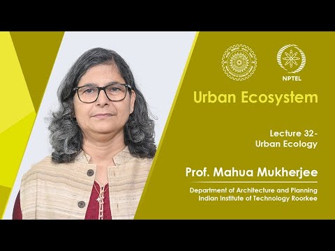 Lecture 32: Urban Ecology