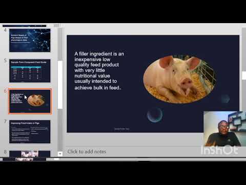 Best Practices in swine nutrition (ii)