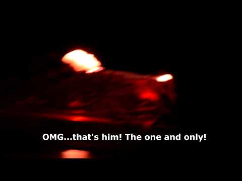 INSIDE Lenin's Mausoleum