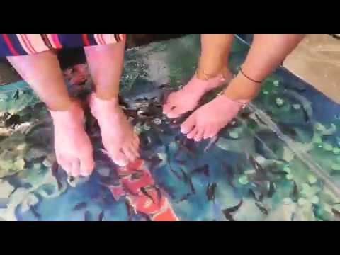 Fish pedicure in Mall🥰