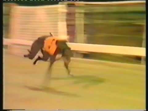1985 TV TROPHY FINAL - SCURLOGUE CHAMP