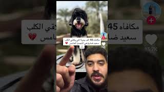 شنطة مخططة متعددة الألوان