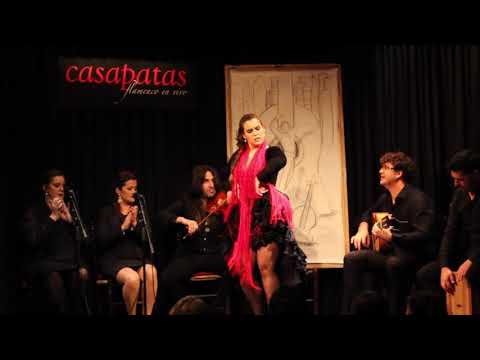 CASA PATAS con José Barrios