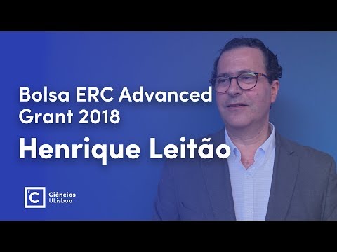 Henrique Leitão ganha ERC Advanced Grant 2018