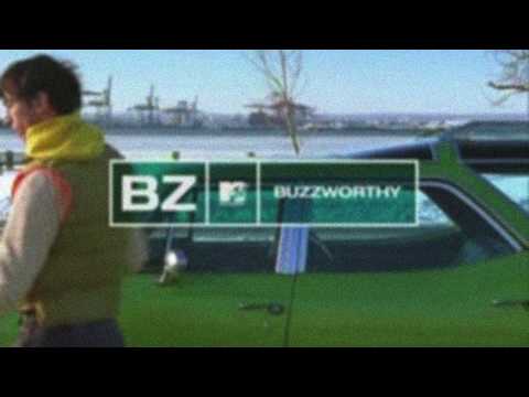 Beats By Steve Vicious - Buzzworthy (Instrumental)