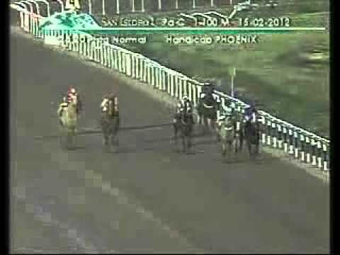 VIDEO DEL RECLAMO HANDICAP PHOENIX