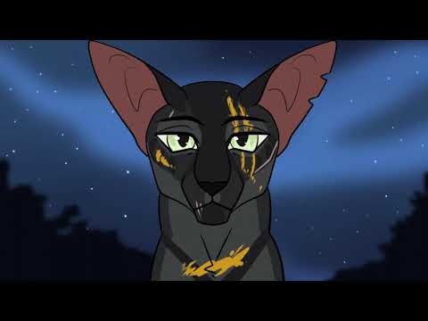 Warrior Cats OC PMV - New Year's Eve