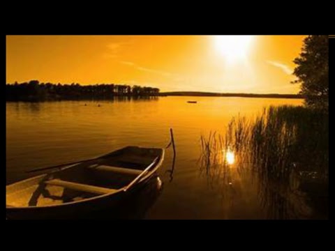 In consolle...   DJ THE VIPER