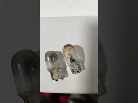 original license plate bulbs 🥴 #Mustang #ledbubs #restoration #1dad #viralvideo #viralshorts