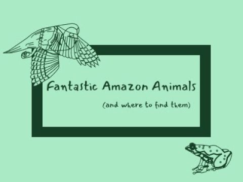 [Accepted] Fantastic Amazon Animals and Where to Find Them | WWDC21 Swift Student Challenge