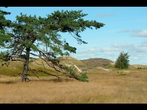 UraganiuS su Airida Mockute — Strazdas