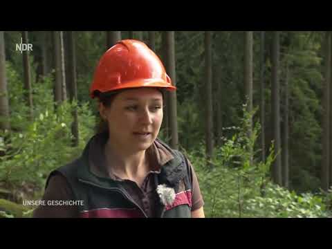 Wie der Bergbau den Harz veränderte  - Unsere Geschichte  N