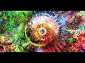 Terence Mckenna - You And The Data Bank Of The Universe, Time