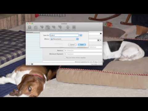 Debtinator Quickstart Guide, Part 1