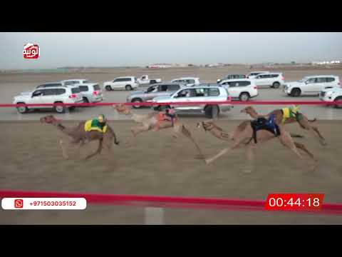  ش 1 (هملوله) لـ اسعد بن عبدالله 2:12:34 , شارة الصندوق 2026/03/14 فطامين الوثبة