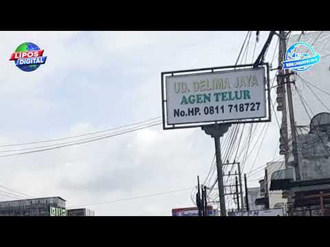 Ternyata Ini Yang Membuat Harga Telur Ayam Mahal