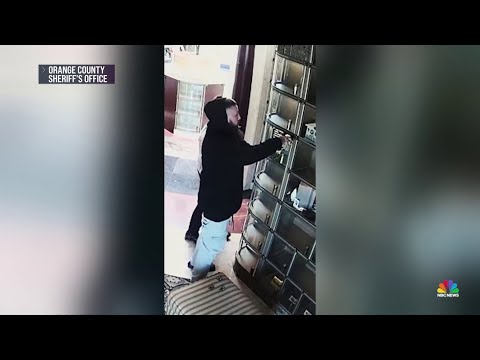 Manhunt for trio accused of ‘tomb raiding’ in multiple states