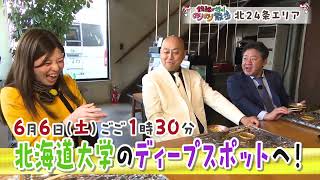 のりのり