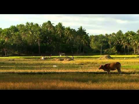 Die neuen Paradise: Philippinen Unbekannter Archipel