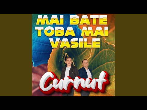 Am aduso cu lautarii