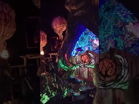 Olive Tree Dance @ Forest Soul Gathering III 2022 by Kunayala Productions