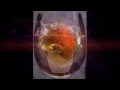 Горький вкус сладких губ .mpg 