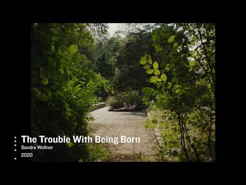 HOANZL  Der österreichische Film. Edition Der Standard. Staffel 16 # 355 The trouble with being born