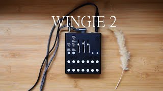 Video thumbnail for Meng Qi 孟奇 WINGIE 2 Stereo resonator short film by クローゼットの夏休み。