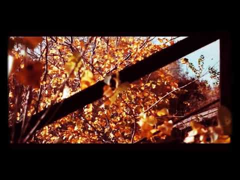 Dj sk New  songs video.....2019...sk