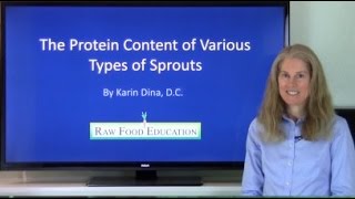 The Protein Content of Various Types of Sprouts