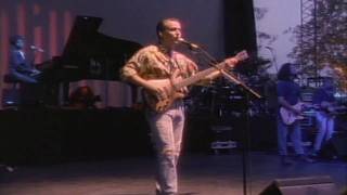 Tears for fears - Pale Shelter (Live)