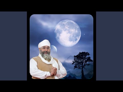 TUJH BIN AVAR NA JANA (Rinku veer ji)