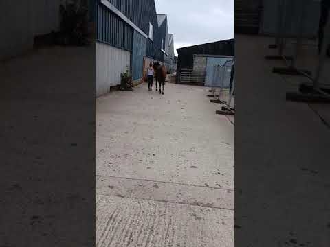 Video 3