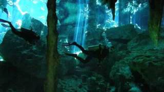 Buceo Diving Cenotes Dos Ojos Mexico (Ulver - Vowels)