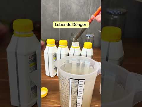 Lebendiger Boden, Gesunde Pflanzen ohne Chemie? Ich fange an, das zu testen.