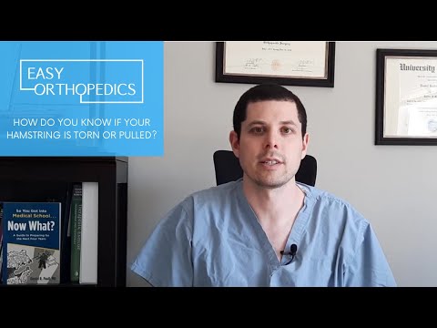 How do you know if your hamstring is pulled or torn?