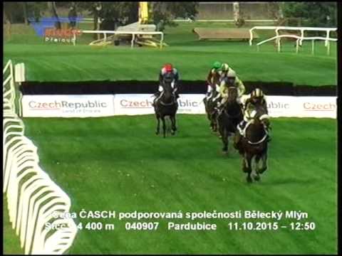 11.10. 2015 - 3. dostih - Cena ČASCH podporovaná společností Bělecký Mlýn s.r.o.