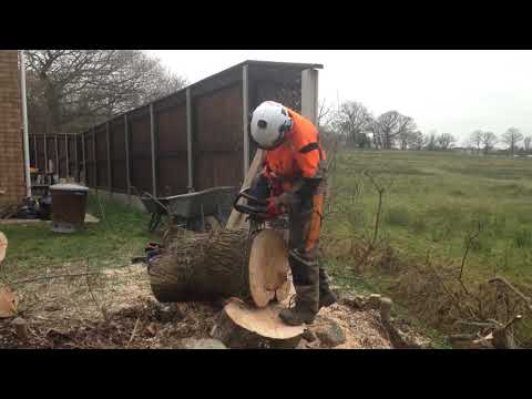 Dolmar 7910 full wrap 18" 3/8" chain much to aggressive depth gauges